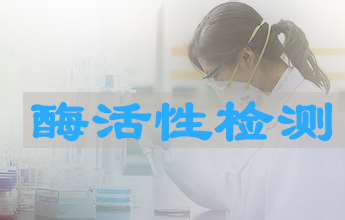 pp电子酶活性测定服务