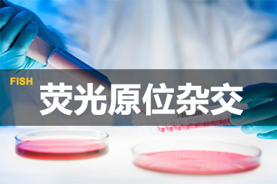 pp电子荧光原位杂交技术
