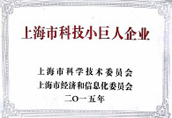 pp电子获“上海市科技小巨人企业”荣誉称号