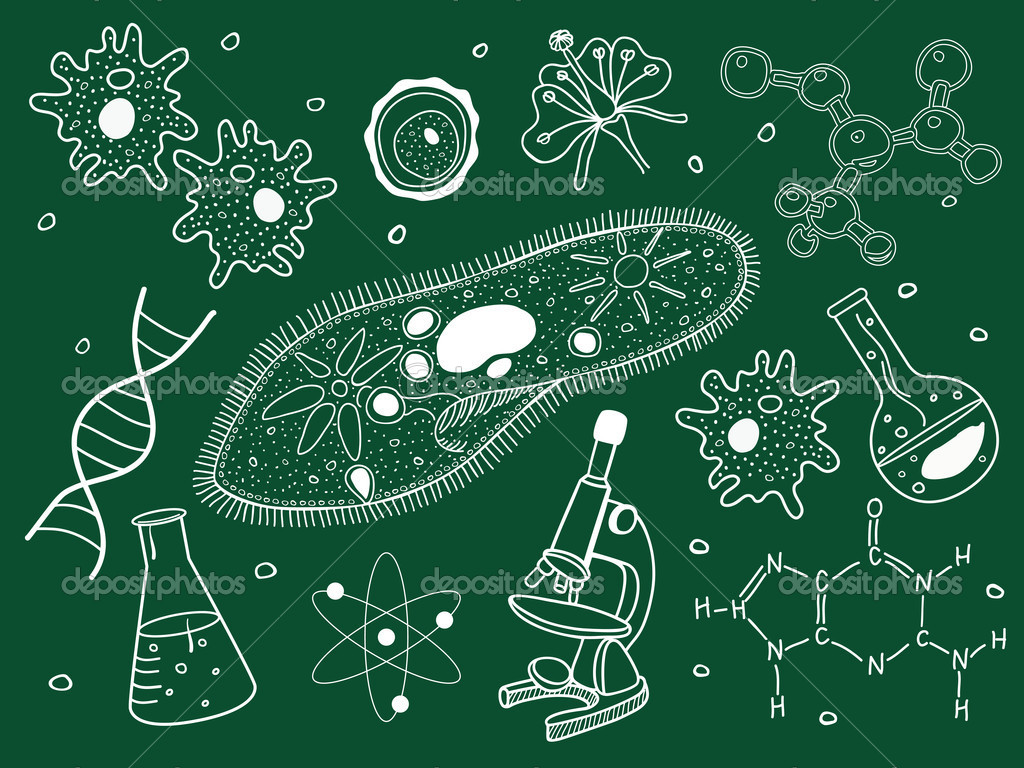 Nature：科学家找到杀死抗药细菌的新靶点