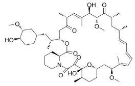 雷帕霉素新制剂用于罕见病，获4500万美元融资