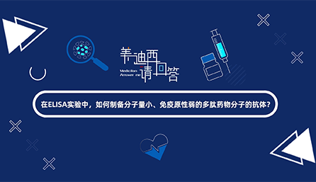 在ELISA实验，如何制备分子量小、免疫原性弱的多肽药物分子的抗体？