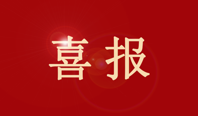 pp电子董事、董事会秘书王国林先生又获奖了！