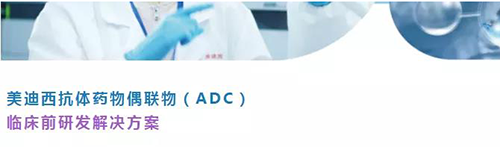 pp电子抗体药物偶联物(ADC)临床前研发解决方案.png pp电子抗体药物偶联物(ADC)临床前研发解决方案.png