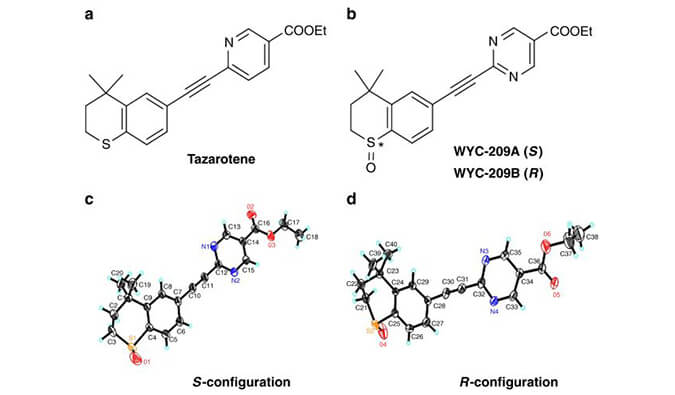 WYC-209可抑制恶性小鼠黑色素瘤肿瘤再生细胞增殖，SPR分析通过pp电子使用Biacore 8K设备进行