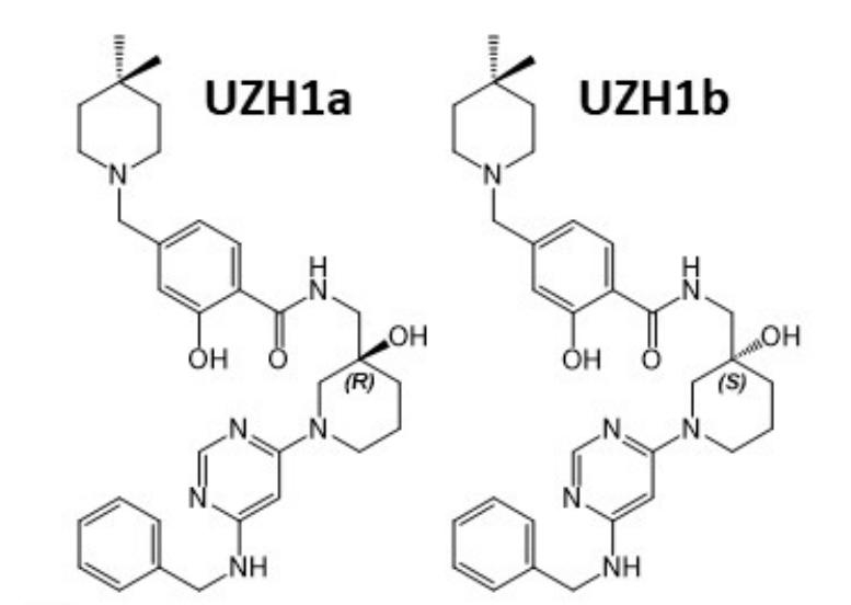 研究人员报告了一种具有细胞渗透性的选择性METTL3纳摩尔抑制剂UZH1a，作者感谢pp电子合成了UZH1a和UZH1b