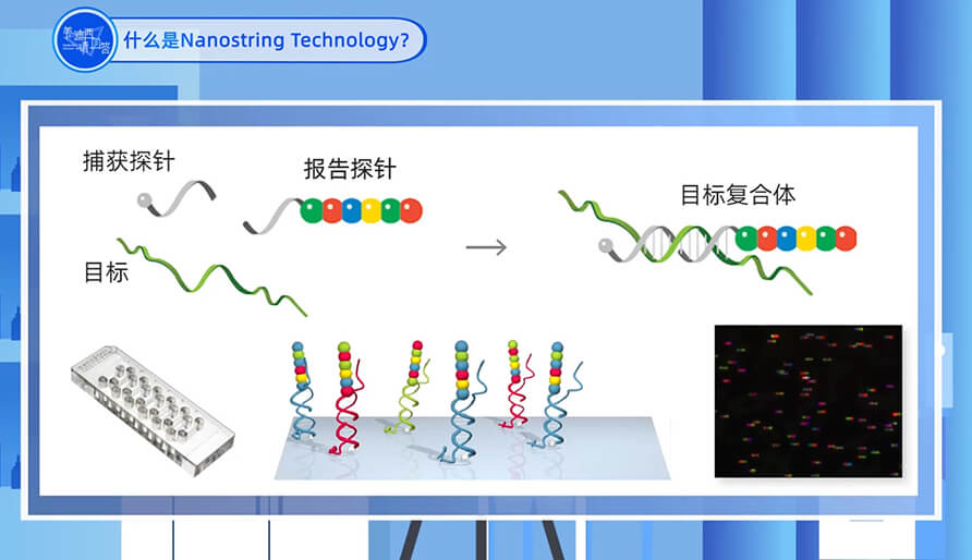 什么是Nanostring 技术？