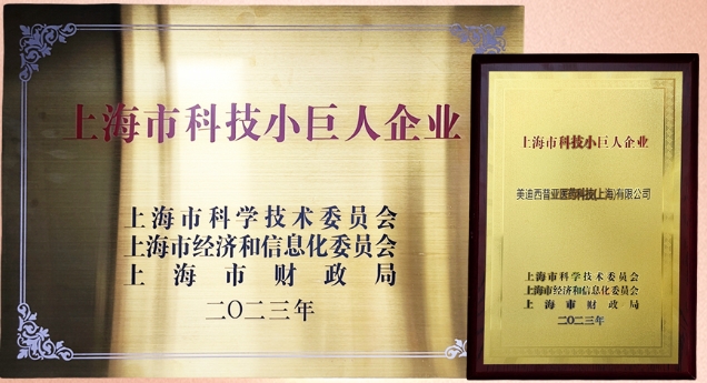 科技创新，权威再证！pp电子获“2023年上海市科技小巨人企业”授牌